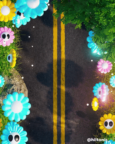 Driving Road Trip GIF by Evan Hilton