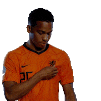 Nederlands Elftal Euro2020 Sticker by OnsOranje