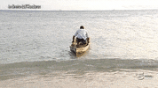 alvin GIF by Isola dei Famosi