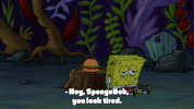 season 9 episode 24 GIF by SpongeBob SquarePants