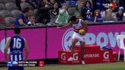 adelaidecrows 2019 gatorade adelaide crows eddie betts GIF