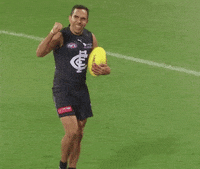 Carlton Fc Afl GIF by Carlton Football Club