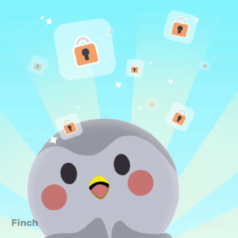 So many things to do