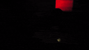 horror monster GIF by Crypt TV