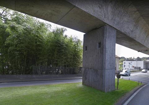 Txori giphyupload nature concrete biarritz GIF