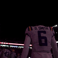 Lsu Football GIF by LSU Tigers