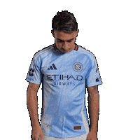 Mls Sticker by New York City FC