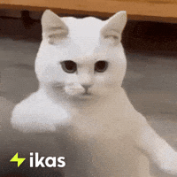 Happy Dance GIF by ikas