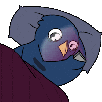 Stay Up No Sticker by Ordinary Frends