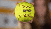 Loyola Softball GIF by LoyolaRamblers