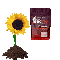 greenhousebrands booster greenhouse ghf greenhousefeeding Sticker