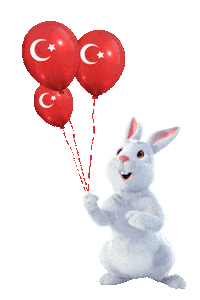 Fibabanka balon cumhuriyet 29 ekim tavsan Sticker