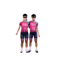 Celebration Winner Sticker by BH BIKES