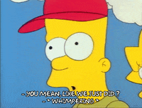 Season 1 GIF by The Simpsons