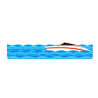 Summer Boat Sticker by Porto do Rio