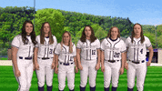 Warriors Softball GIF by WinonaStateATH