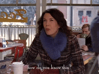 season 5 netflix GIF by Gilmore Girls 
