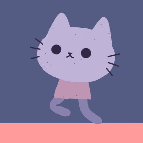 ivangulizia cat loop animal run GIF