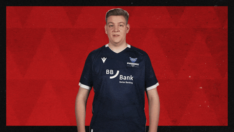 Karlsruher Sc Football GIF by Bundesliga