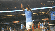 yankee stadium mls GIF by NYCFC