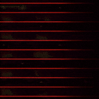 Geometry Dash Focus GIF
