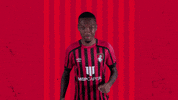 Football Swipe Up GIF by AFC Bournemouth