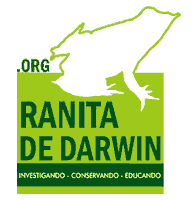 Darwins Frog Logo Sticker by Ranita de Darwin ONG