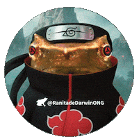 Naruto Shippuden Sticker by Ranita de Darwin ONG