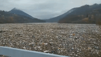 'Scary Scenes': Rubbish Clogs Serbian Lake