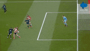 Premier League Football GIF by MolaTV
