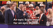 Super Bowl Sport GIF by NFL