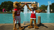 houstoncougars houston sasha gocoogs shasta GIF