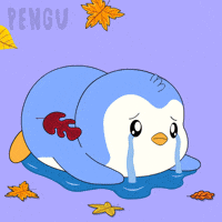 Sad Cry GIF by Pudgy Penguins