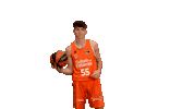Playing Liga Endesa Sticker by ACB