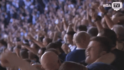 crowd supporter GIF by West Bromwich Albion
