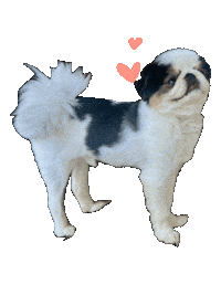 Gary Chelcielynn Sticker by Libbie Higgins