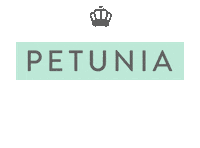 Sale Ofertas Sticker by Petunialovers