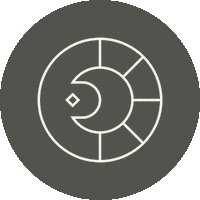 Life Stars Sticker by The Good Hause