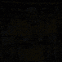Copa Do Mundo GIF