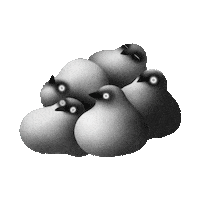 jumping little birds Sticker by Yi Pan