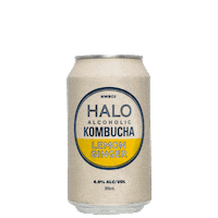 Sticker by Halo Alcoholic Kombucha