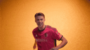 Vamos St Louis GIF by St. Louis CITY SC