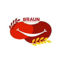 BraunEc feliz happiness felicidad sonrisa Sticker