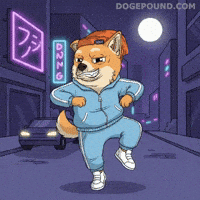 Lets Go Dancing GIF by Doge Pound