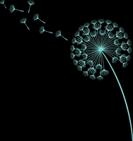 everandagain vegan shoplocal zerowaste reduce GIF