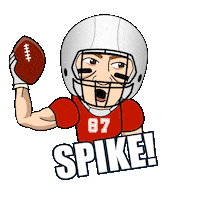 Tampa Bay Buccaneers Nfl Sticker by Bare Tree Media