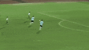 the new saints football GIF by TNSFC