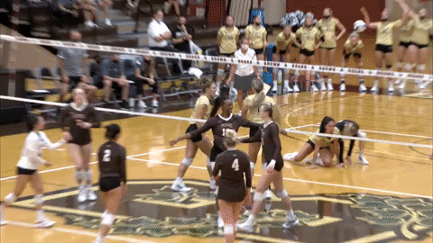 Celebration Dancing GIF by Brown Volleyball