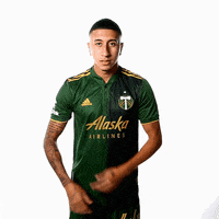Portland Timbers Sport GIF by Timbers
