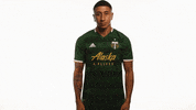 Waving Portland Timbers GIF by Timbers